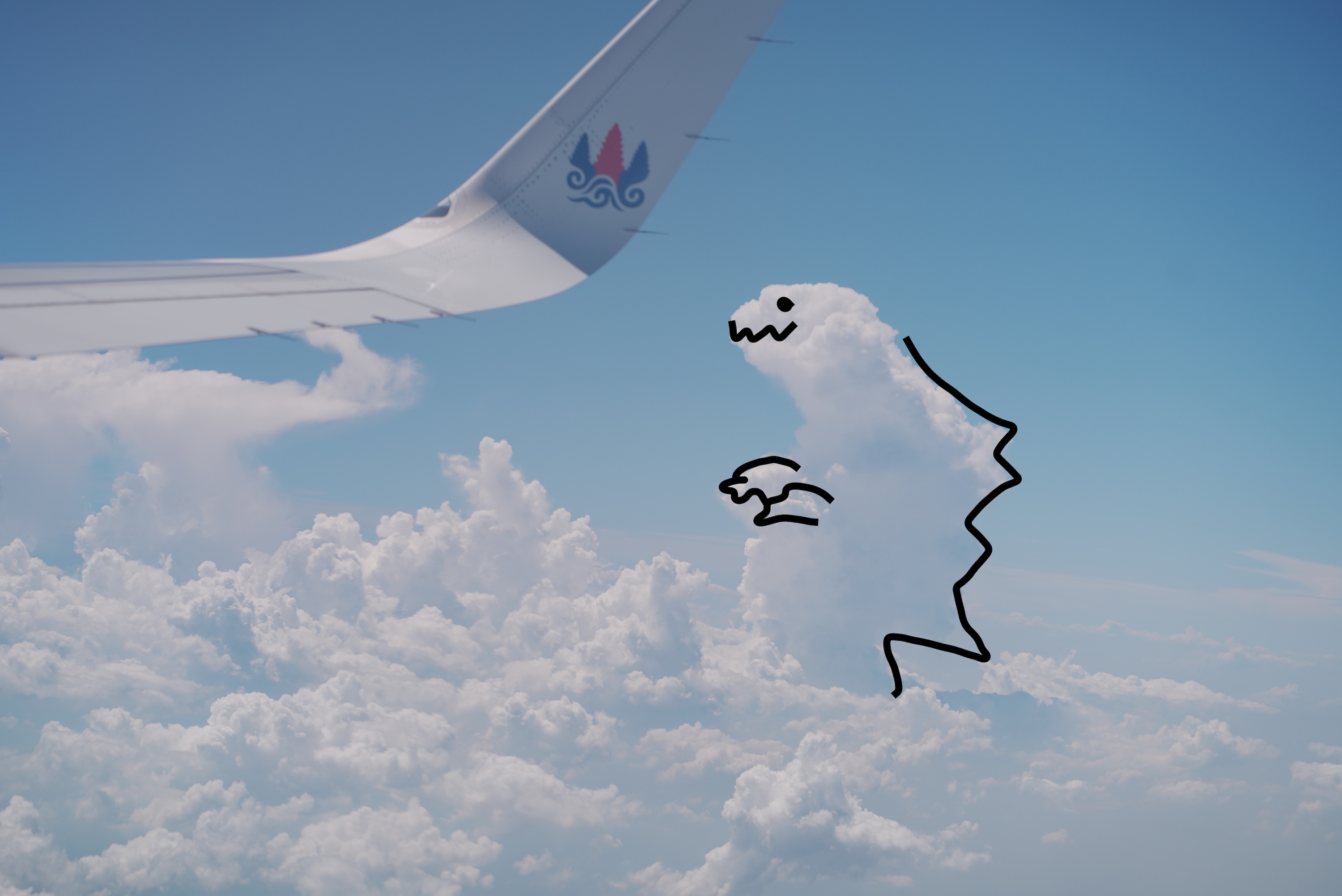 天空有个大怪兽